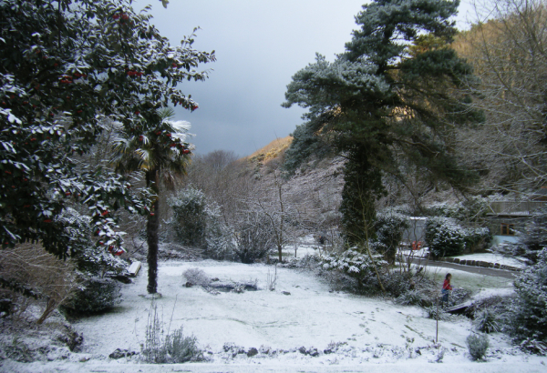 Snow in St Agnes